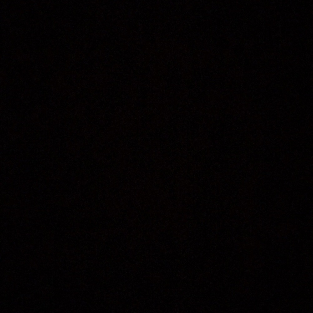 Meet your Posher, Evelyn